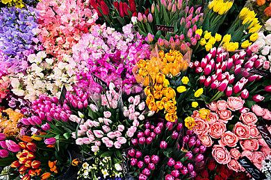 XGP五月上旬新增游戏阵容 《古墓丽影9：终极版》等